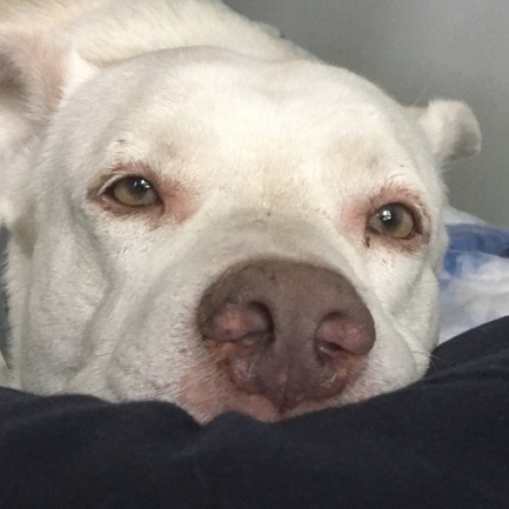 Meet your Posher, Ella mae